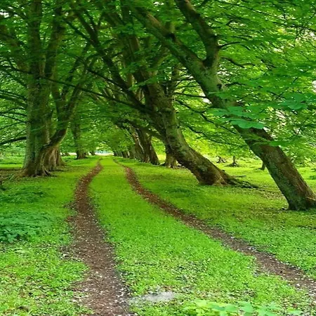 Mit Garten In Zweedorf, Cleaning Included Feriehus Zweedorf