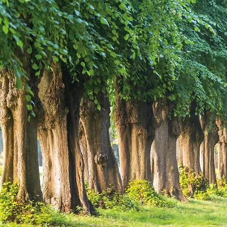 Mit Garten In Zweedorf, Cleaning Included Feriehus